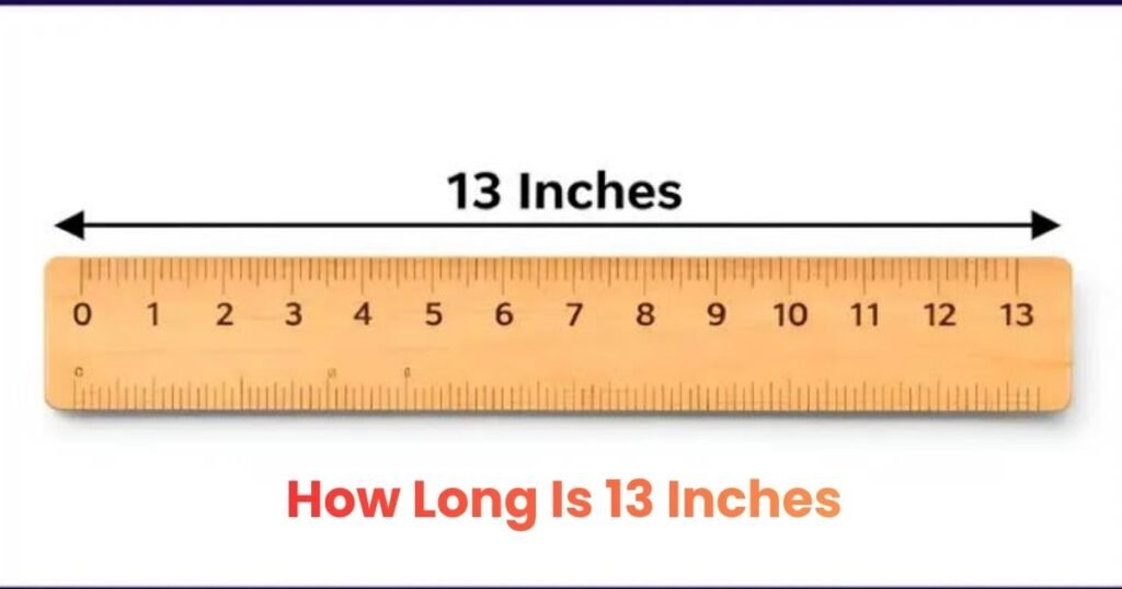 How Long Is 13 Inches