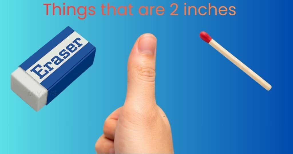 Things That Are 2 Inches Long