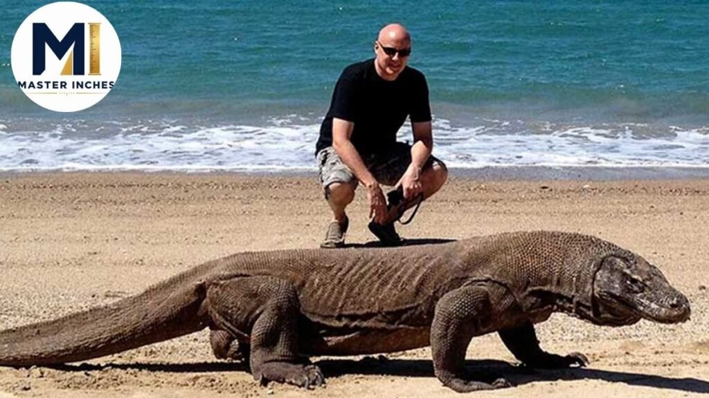 Komodo Dragon Size