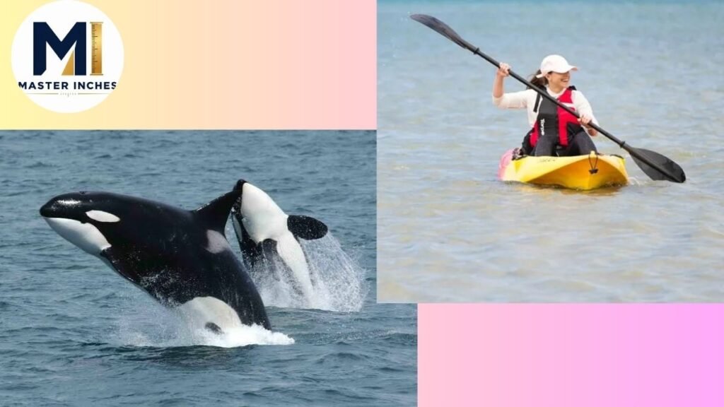 Things That Are 3 meters Long