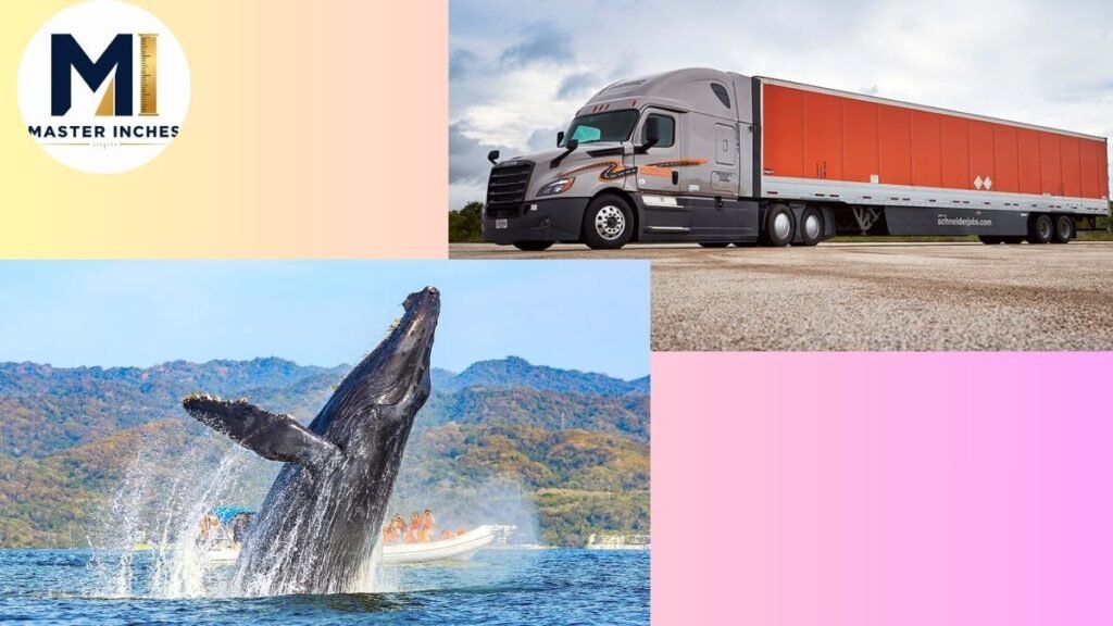 Things That Are 50 Feet Long