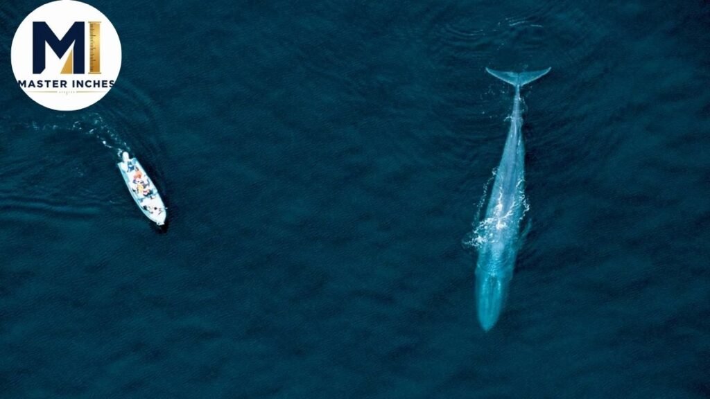 how long is 100 feet