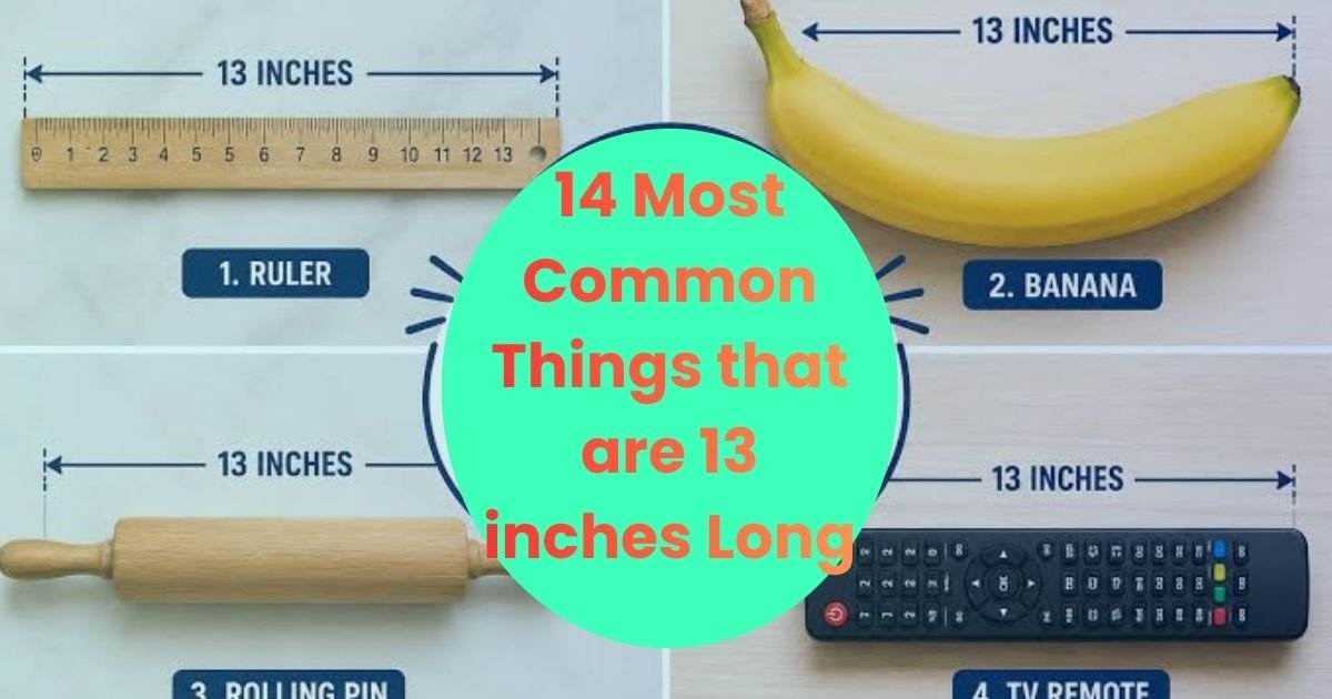 13 inches