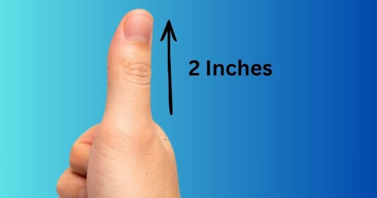 2 inches