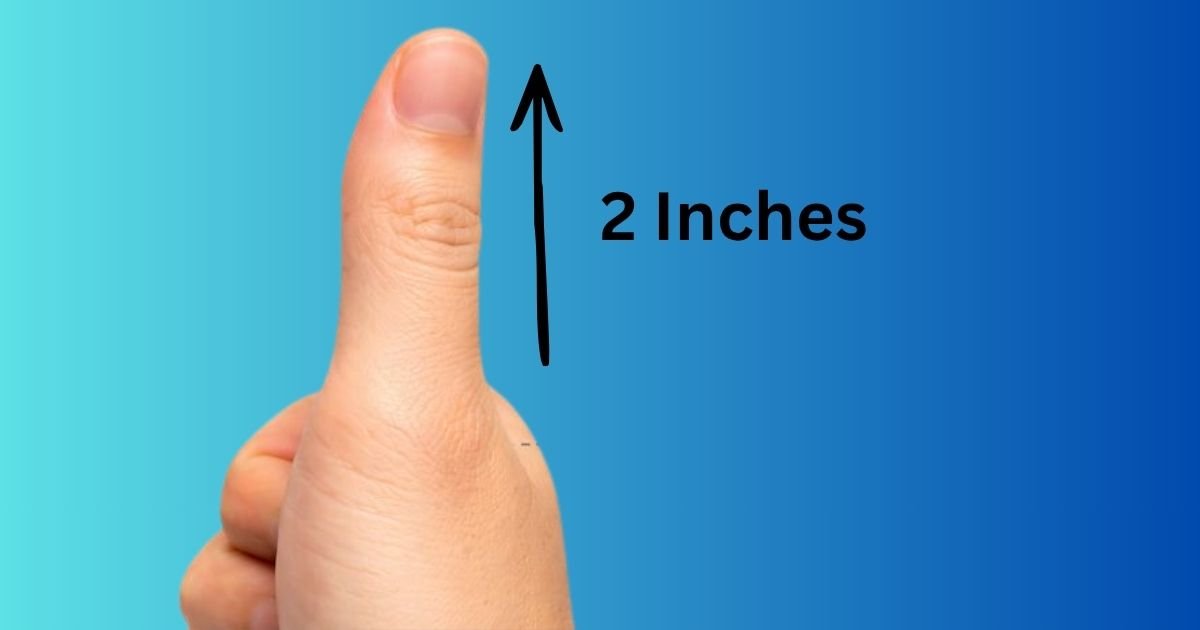 2 inches