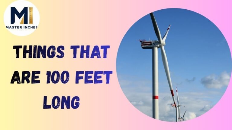 100 feet