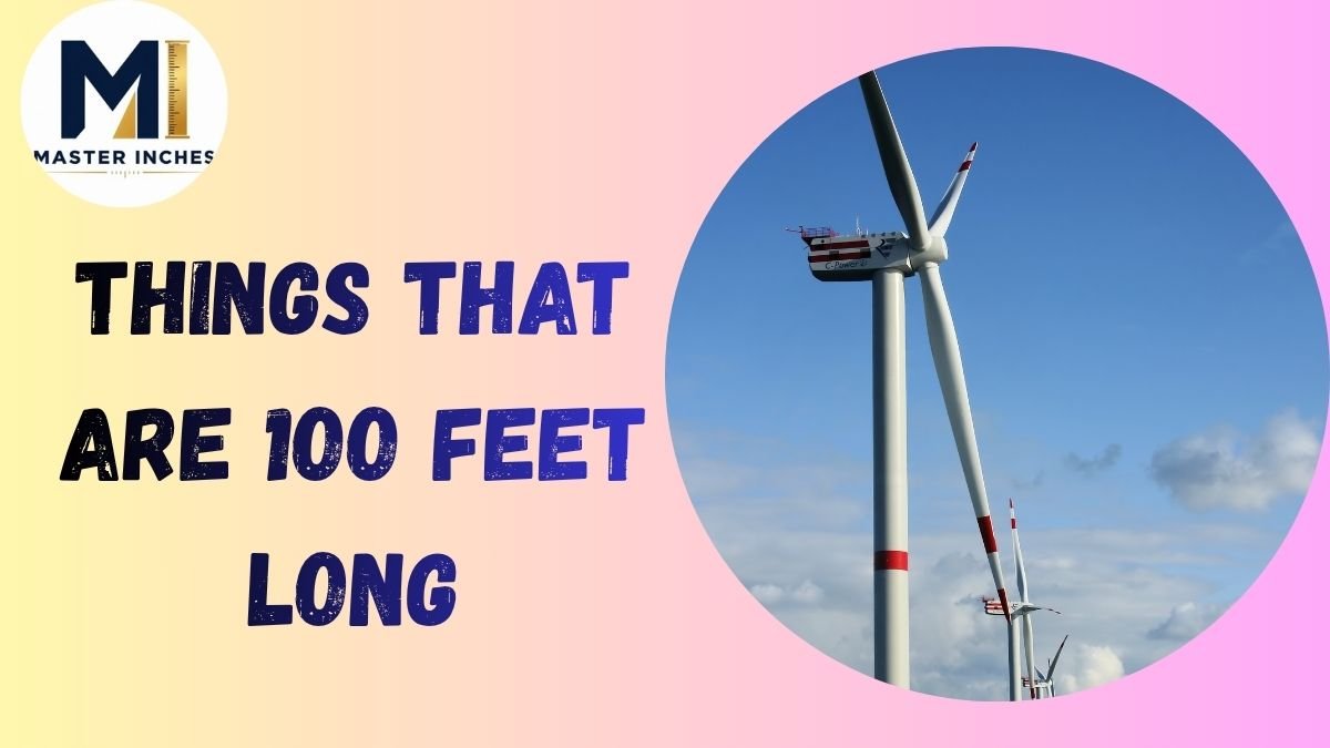 100 feet