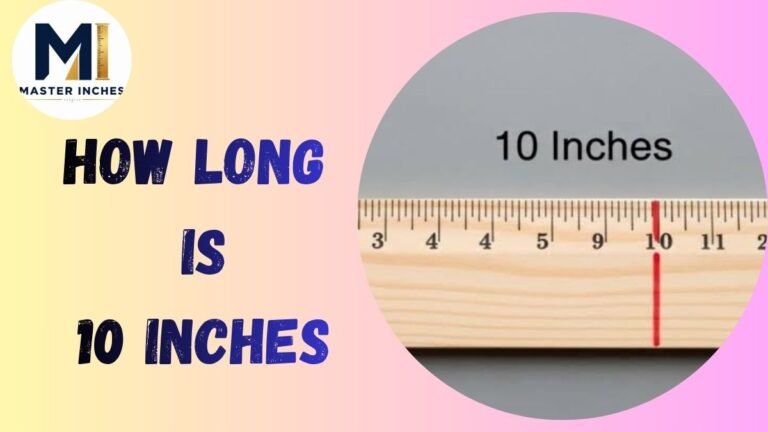 how long is 10 inches