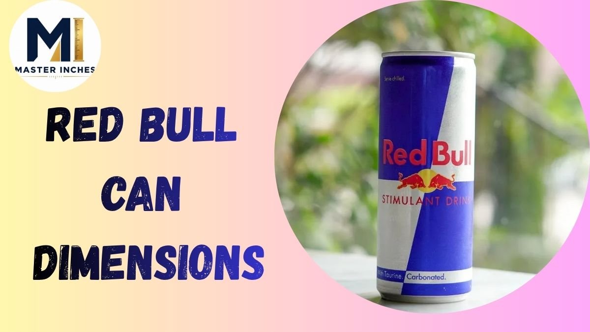 red bull can dimensions